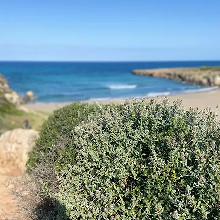 Biddiccia In Sicily Noto